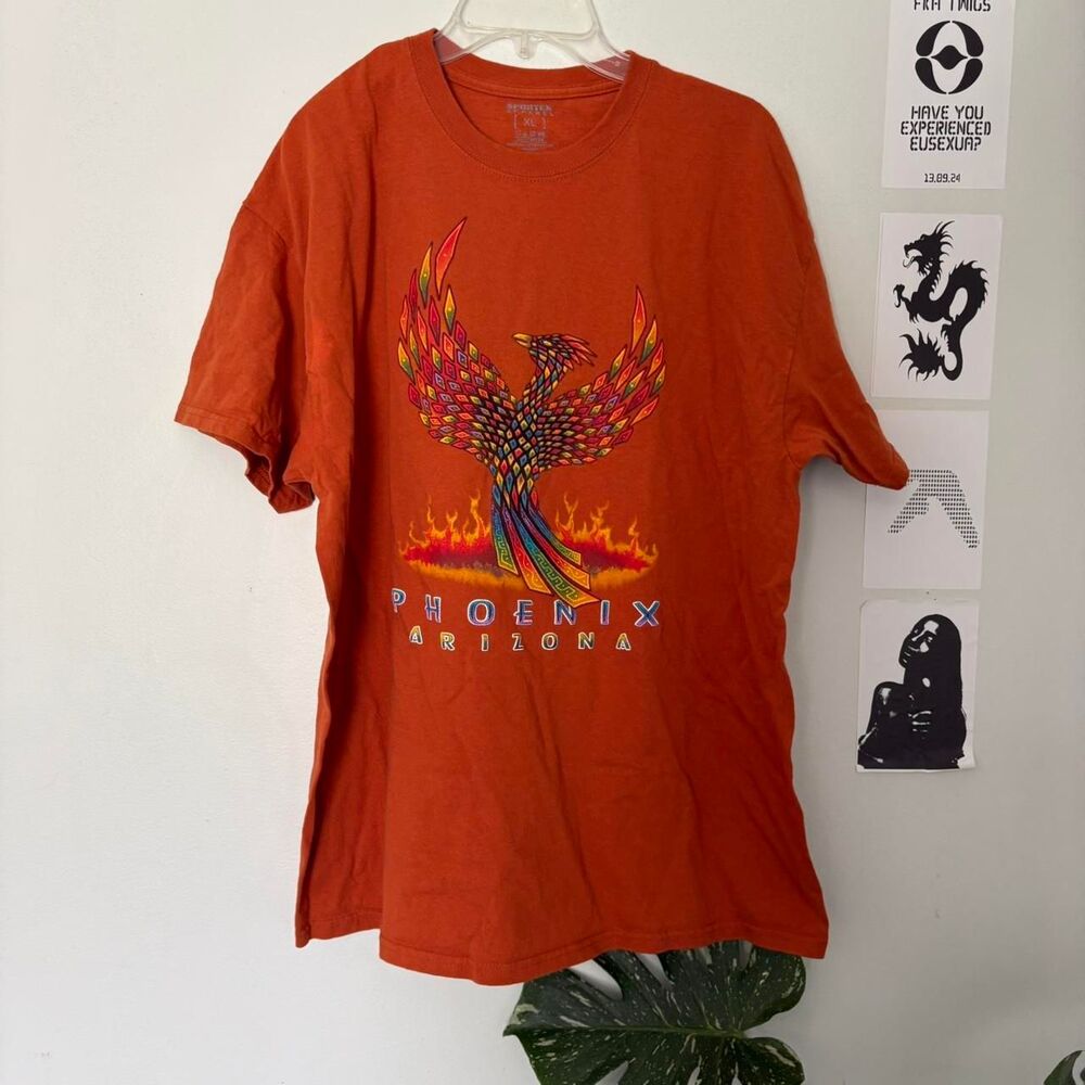Arizona Men's Orange T-shirt